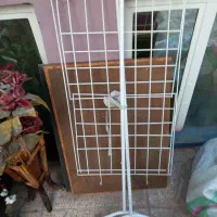 لوازم منزل همگی فروشی