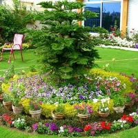 انجام کارهای باغبانی اعم ازکاشت گل وگیاه وغیره