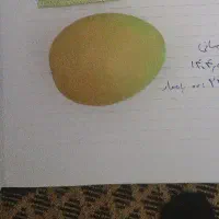 سنگ گوهر شب چراغ|کلکسیون اشیاء عتیقه|صوفیان, |دیوار