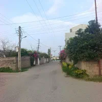 فرصت استثنایی برای سرمایه‌گذاری پرسودبا سند رسمی