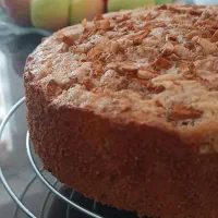 کیک عصرانه و کافی شاپب|خدمات پذیرایی، مراسم|ایلام, |دیوار