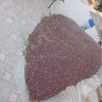 لوبیا قرمز درجه یک|خوردنی و آشامیدنی|ارژن, |دیوار