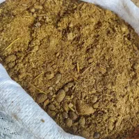 کودگوسفند خالص گونی شده