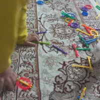 طوطی|پرنده|قم, انسجام|دیوار