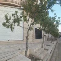 رهنو اجاره مغازه