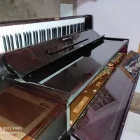 پیانوآکوستیک ژاپن شیراز|پیانو، کیبورد، آکاردئون|صدرا-فارس, فاز ۱|دیوار