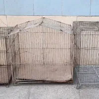 قفس پرندگان