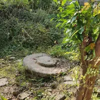 زمین-مسکونی