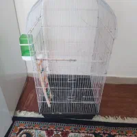 قفس عروس هلندی