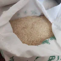 برنج آستانه طارم هاشمی فجر عنبربو|خوردنی و آشامیدنی|تهران, صادقیه|دیوار