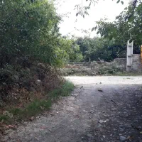 زمین باغی سنددار|فروش زمین و ملک کلنگی|نوکنده, |دیوار