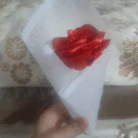 گل رز با روبان