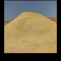 کاه گندم  چین اول درجه یک