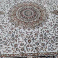 فرش|فرش|دامغان, |دیوار