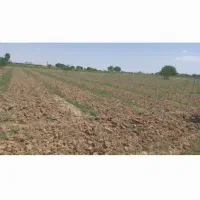 فروش یک هکتار زمین کشاورزی با تمام امتیازات