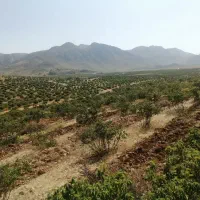 نیازمند شش کارگر زنانه