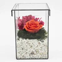 رز جاودان هدیه روز زن گیفت شرکتی|گل و گیاه طبیعی|تهران, ابوذر|دیوار