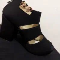 کفش مجلسی