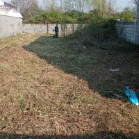 علف زنی و هرس کردن درختان با دستگاه|خدمات باغبانی و درختکاری|رشت, حومه رشت|دیوار