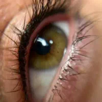 شیدینگ وآرایش دائم|خدمات آرایشگری و زیبایی|دوگنبدان, |دیوار