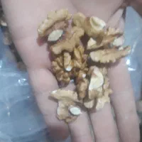 مغز گردو عالی موجوده