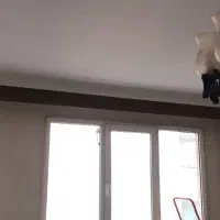 قاب چوب پرده