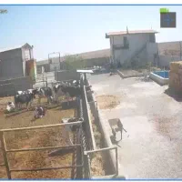کارگر سرایداری