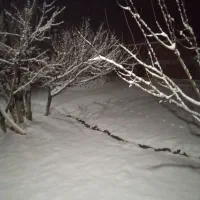 300متر-زمین-مسکونی