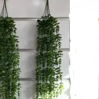 آویز شمشاد ۱۴ شاخه