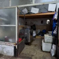 اجاره یک باب مغازه