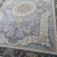 فرش ۷۰۰ شانه تراگم ۲۵۵۰    ۱۲ متری|فرش|زاهدان, |دیوار