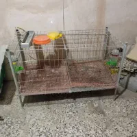 حراج قفس نیمچه و مرغ با دو در مجزا با فنس