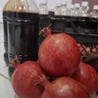 رب انار بجستان