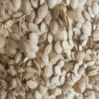 خرید استثنایی در چهار قسط