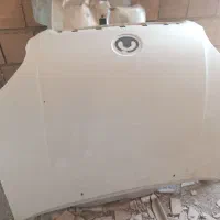 کاپوت وینگل