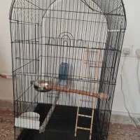 قفس مناسب برای پرندگان زینتی
