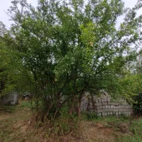 500 متر زمین مسکونی