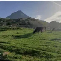 زمین-در-پاقعله