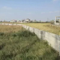 فروش فوری زمین 1850 متری/مناسب ویلا سازی|فروش زمین و ملک کلنگی|آستانه اشرفیه, |دیوار