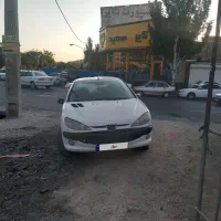 ۲۰۶ اس دی