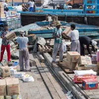 خرید سفارشی از دبی تکی و عمده ( مسئولیت محدود)|خدمات حمل و نقل|بندرعباس, |دیوار