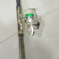 لنسر ماهیگیری درجه۱