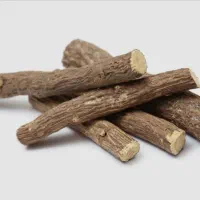 ریشه گیاه بیخ