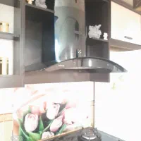 هود نستا