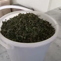 نعنا خشک شده خانگی مقدار محدودک۴۵۰۰۰۰