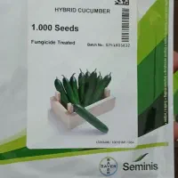 بذر خیار ۵۴۷|گل و گیاه طبیعی|جیرفت, |دیوار