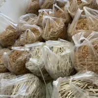 رشته پلویی|خوردنی و آشامیدنی|مشگین شهر, |دیوار