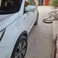 اسپرتج ۲۰۲۴ سند تک برگ بدون رنگ