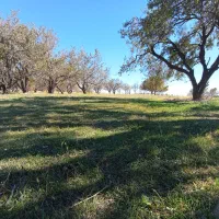 زمین فروشی سرپشت