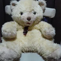 خرس برای روز ولنتاین